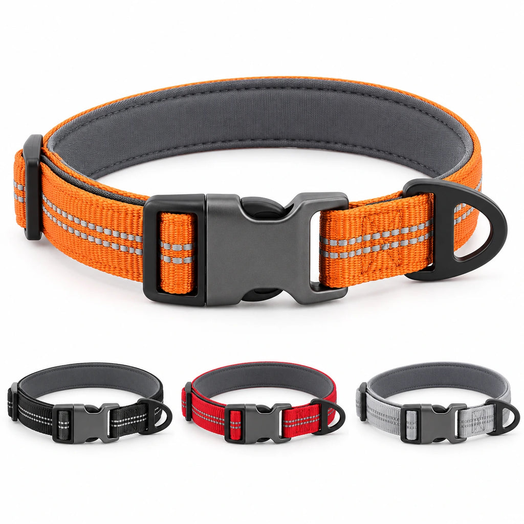 Adjustable Reflective Nylon Dog Collar