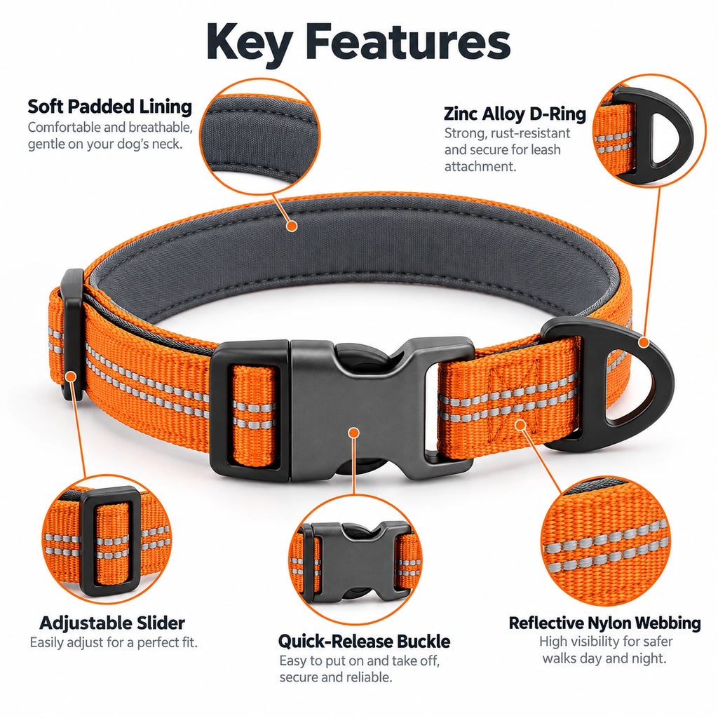 Adjustable Reflective Nylon Dog Collar