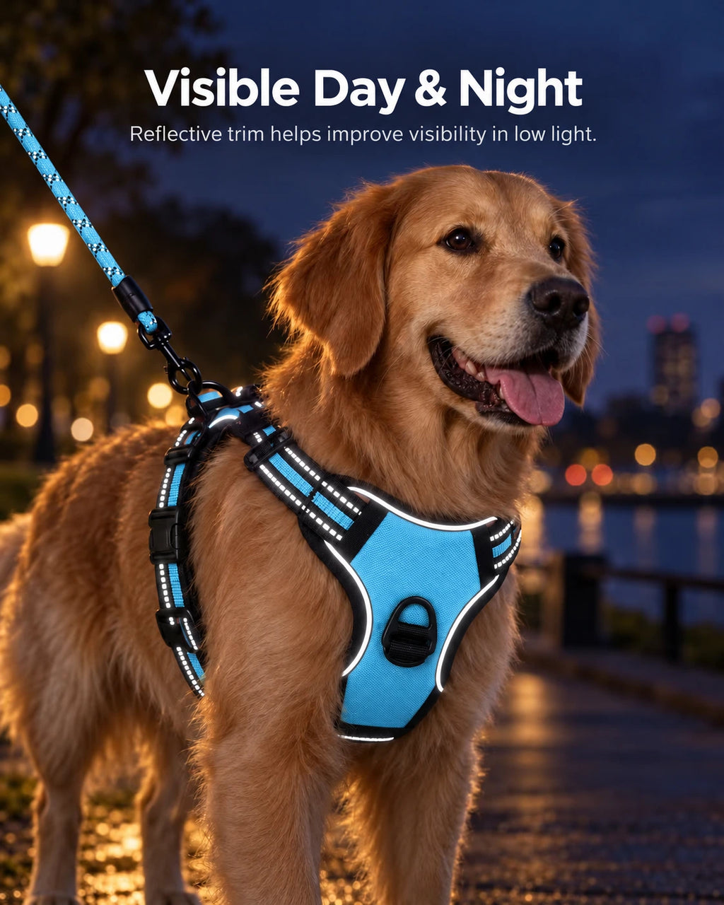 Reflective Dog Harness & Leash Set