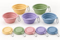 Collapsible Silicone Dog Bowl with Carabiner