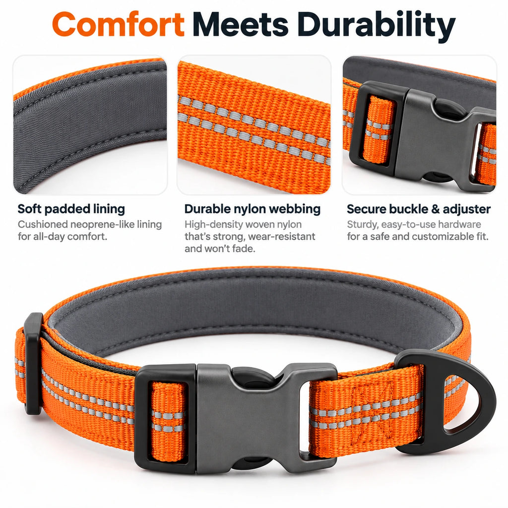 Adjustable Reflective Nylon Dog Collar