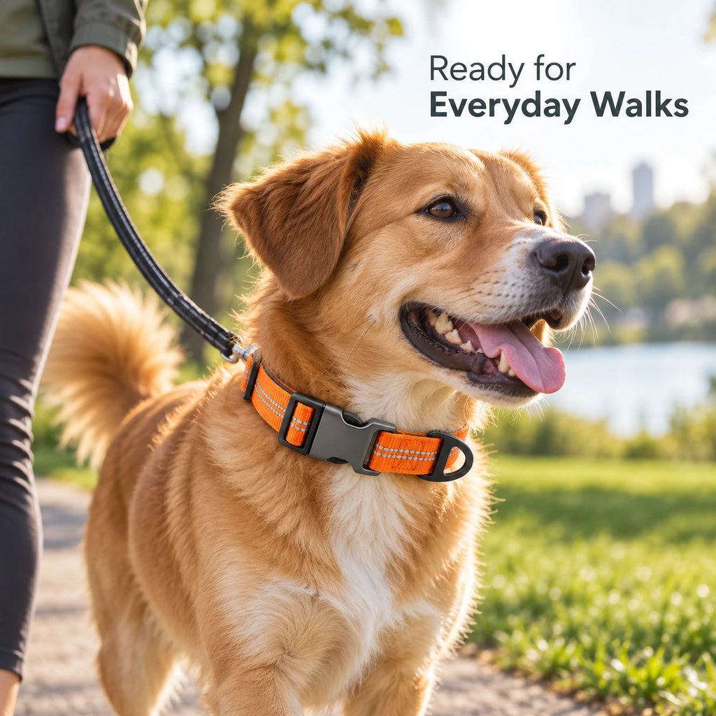 Adjustable Reflective Nylon Dog Collar