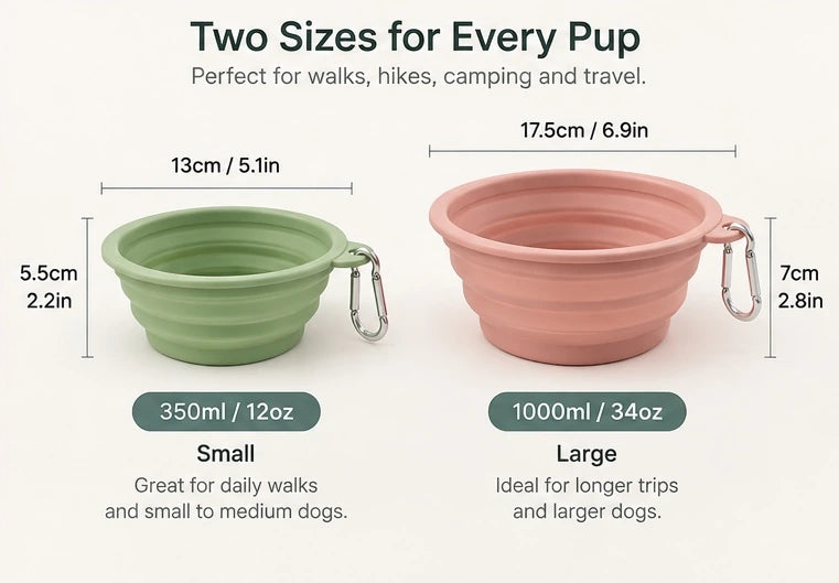 Collapsible Silicone Dog Bowl with Carabiner