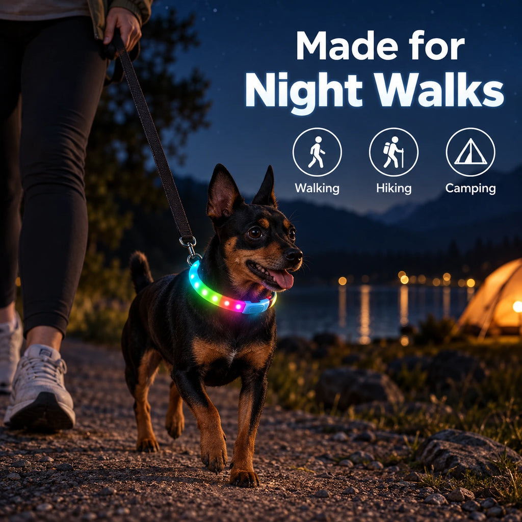 Rechargeable LED Dog Collar for Night Walks – 12 Light Modes